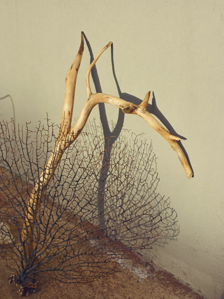 Perlada: Summer Objects (fig. 3)