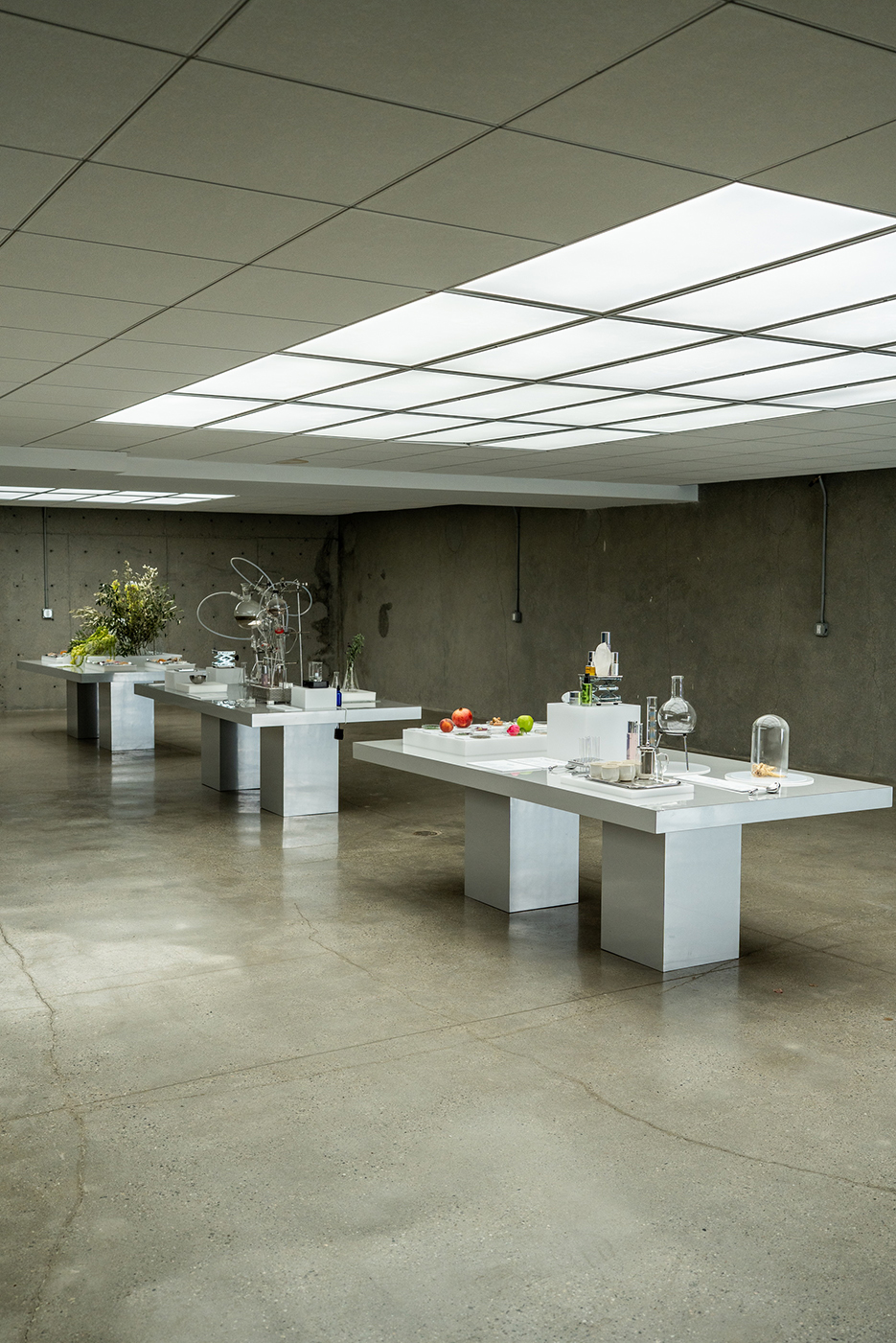 Perlada, project: A Taste of Beauty (fig. 3)