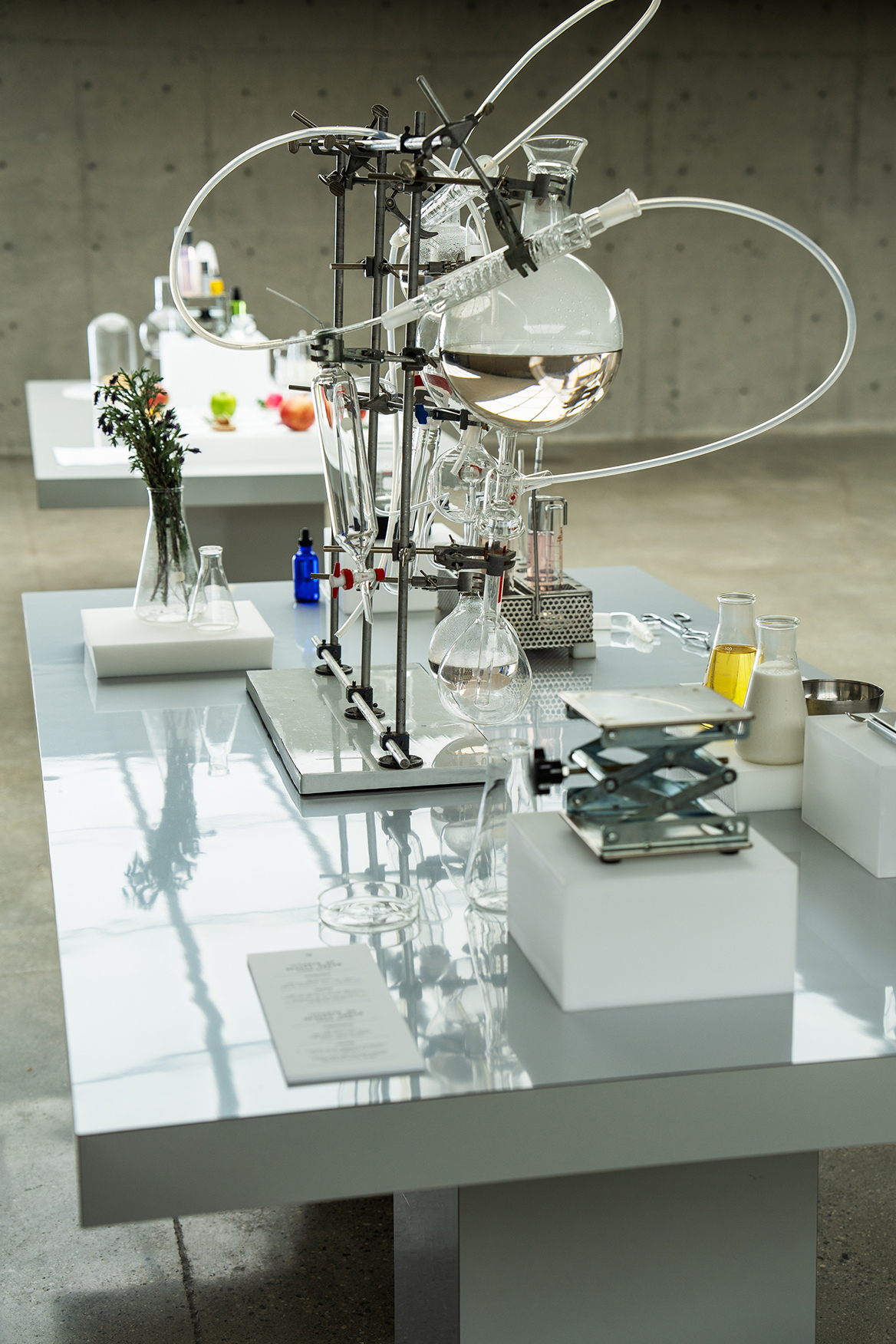 Perlada, project: A Taste of Beauty (fig. 4)