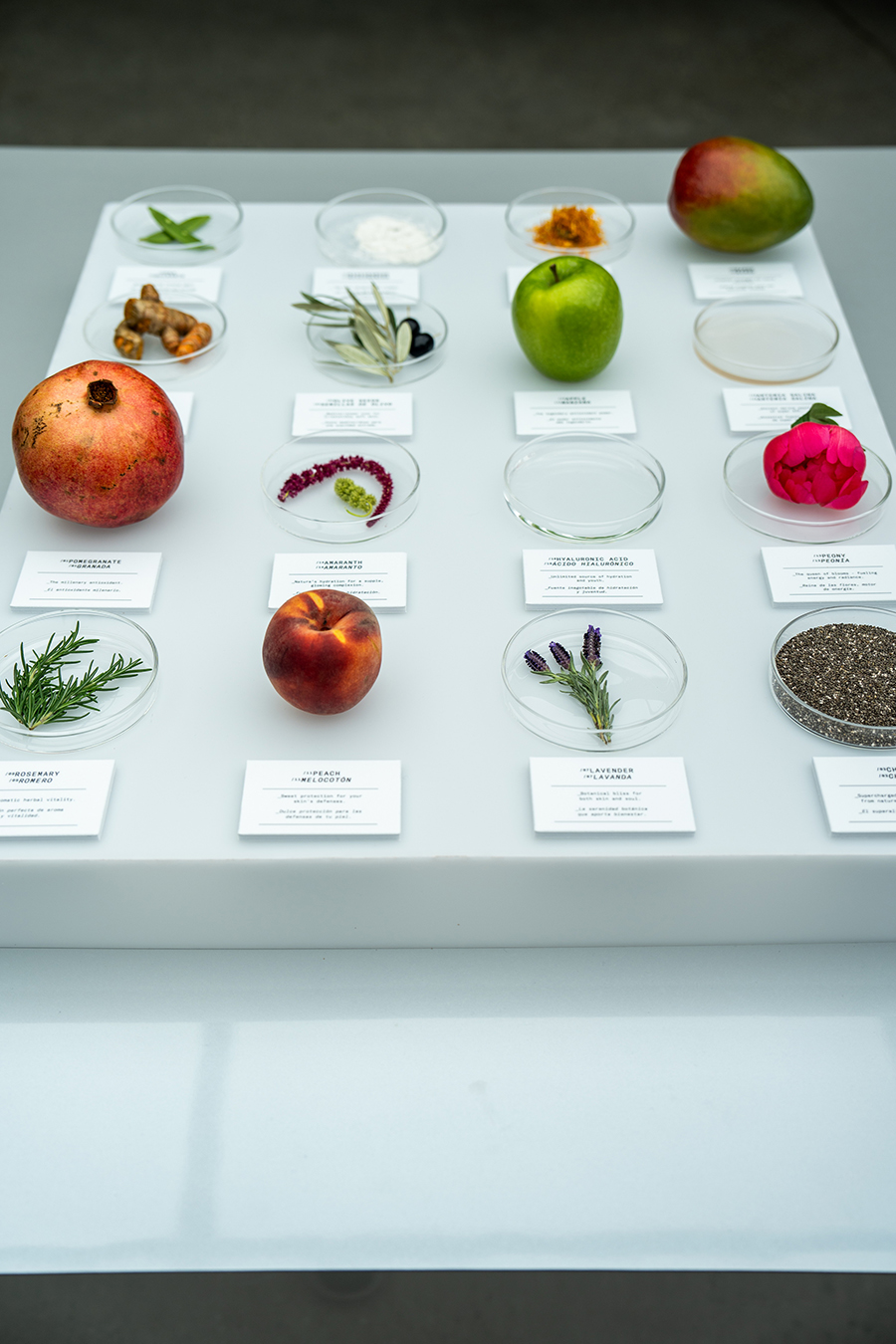 Perlada, project: A Taste of Beauty (fig. 5)
