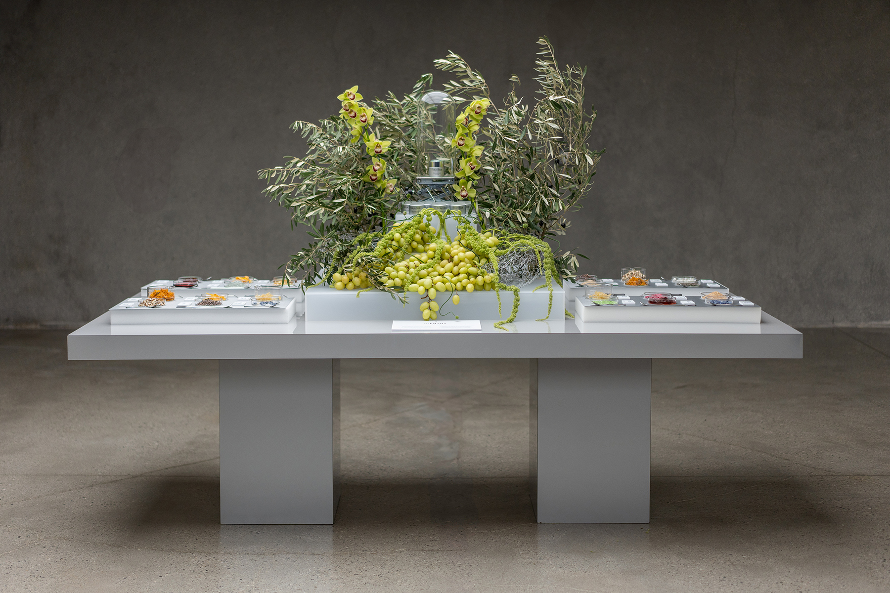 Perlada, project: A Taste of Beauty (fig. 2)
