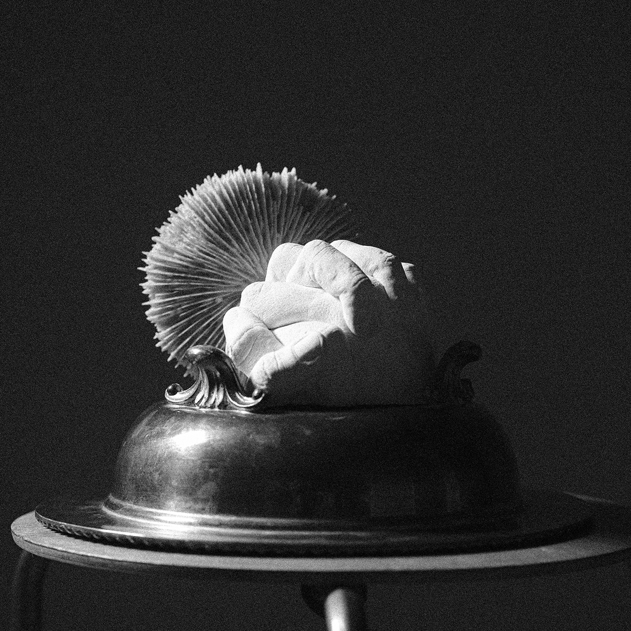 Perlada, project: Still Life I (fig. 4)